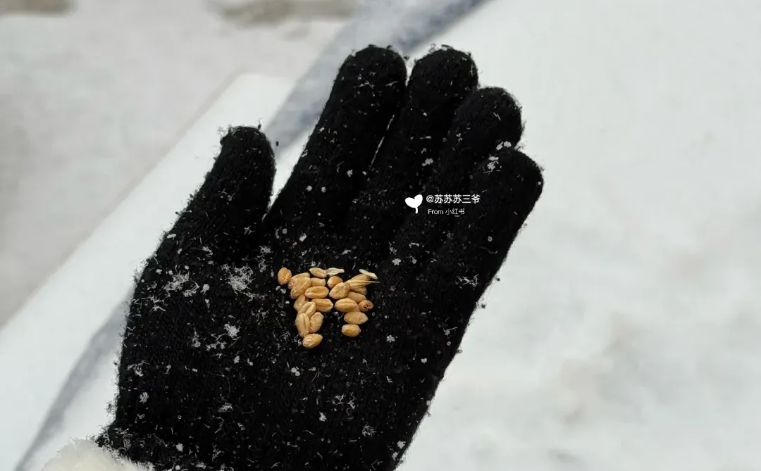 握天！！只有河南下雪这么美！！！