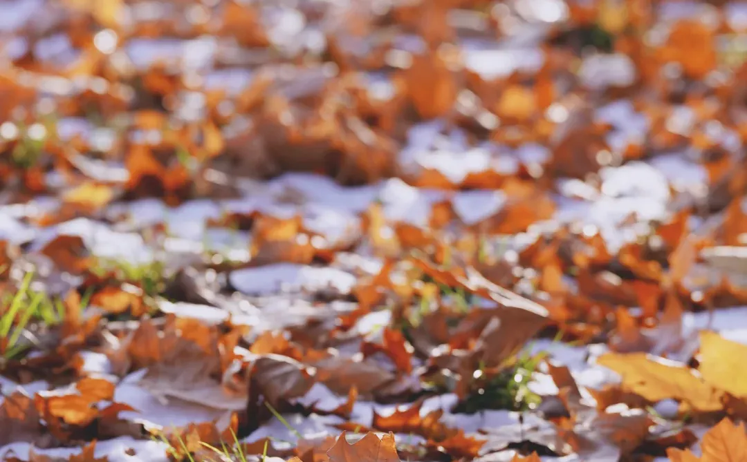郑州的第一场雪 ｜雪停后的晴空明朗灿烂