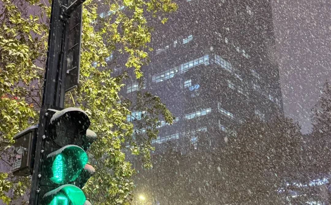 郑州的雪也太漂亮啦❄️