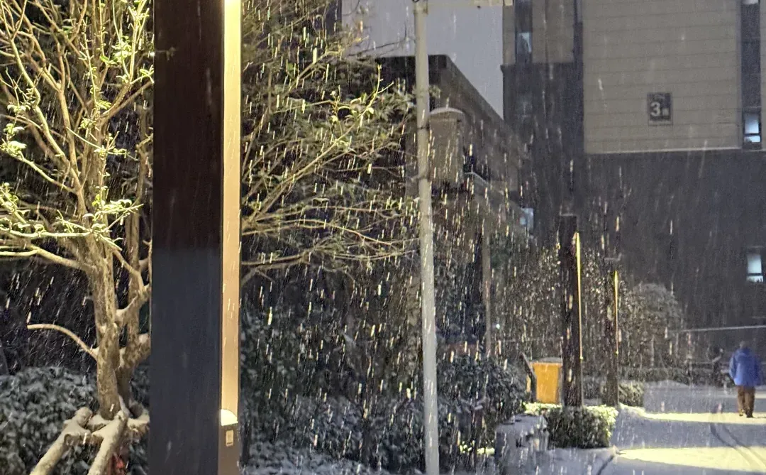 下大雪了 谁敢信这是郑州