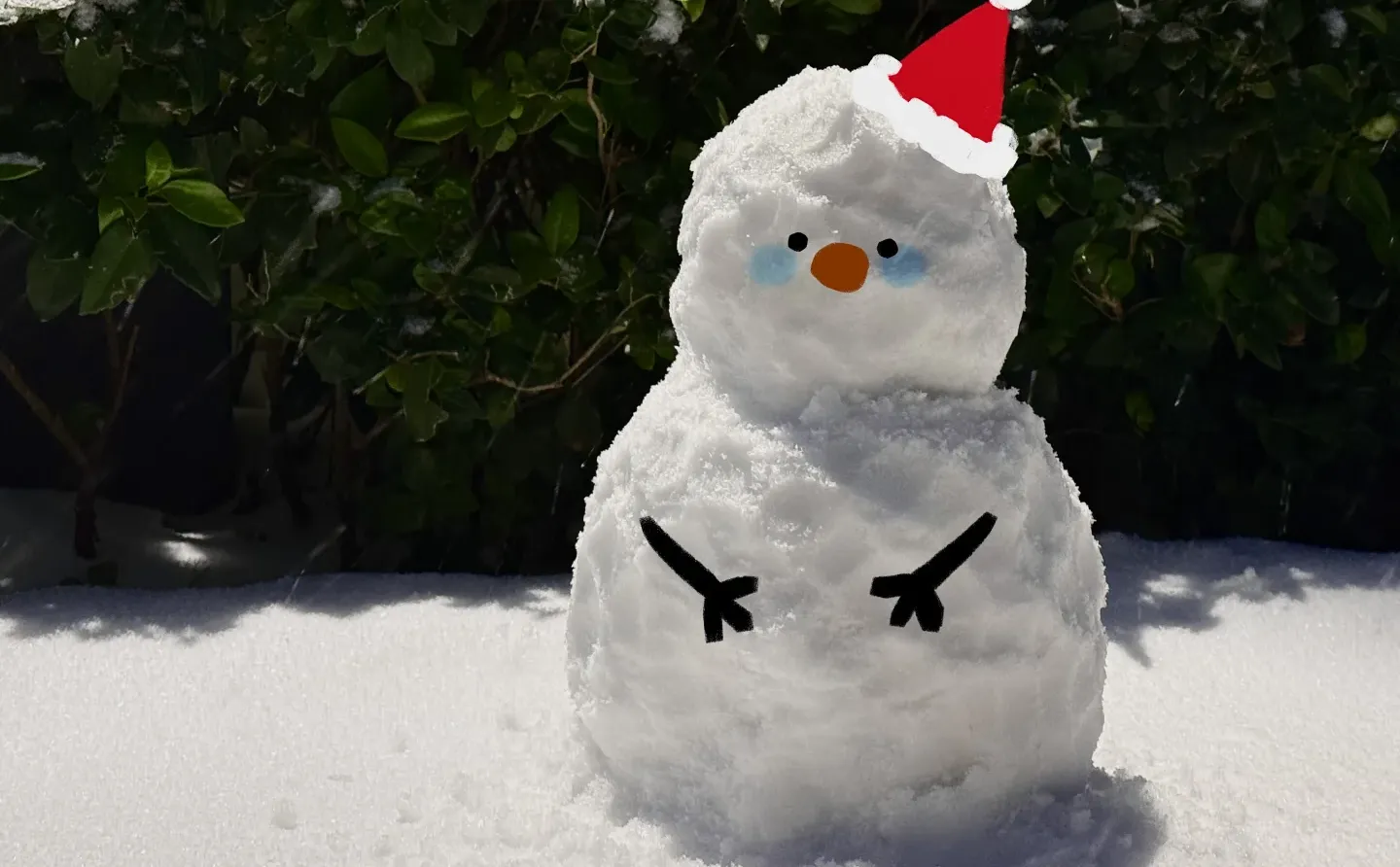 郑州下雪啦❄️⛄️🌧️