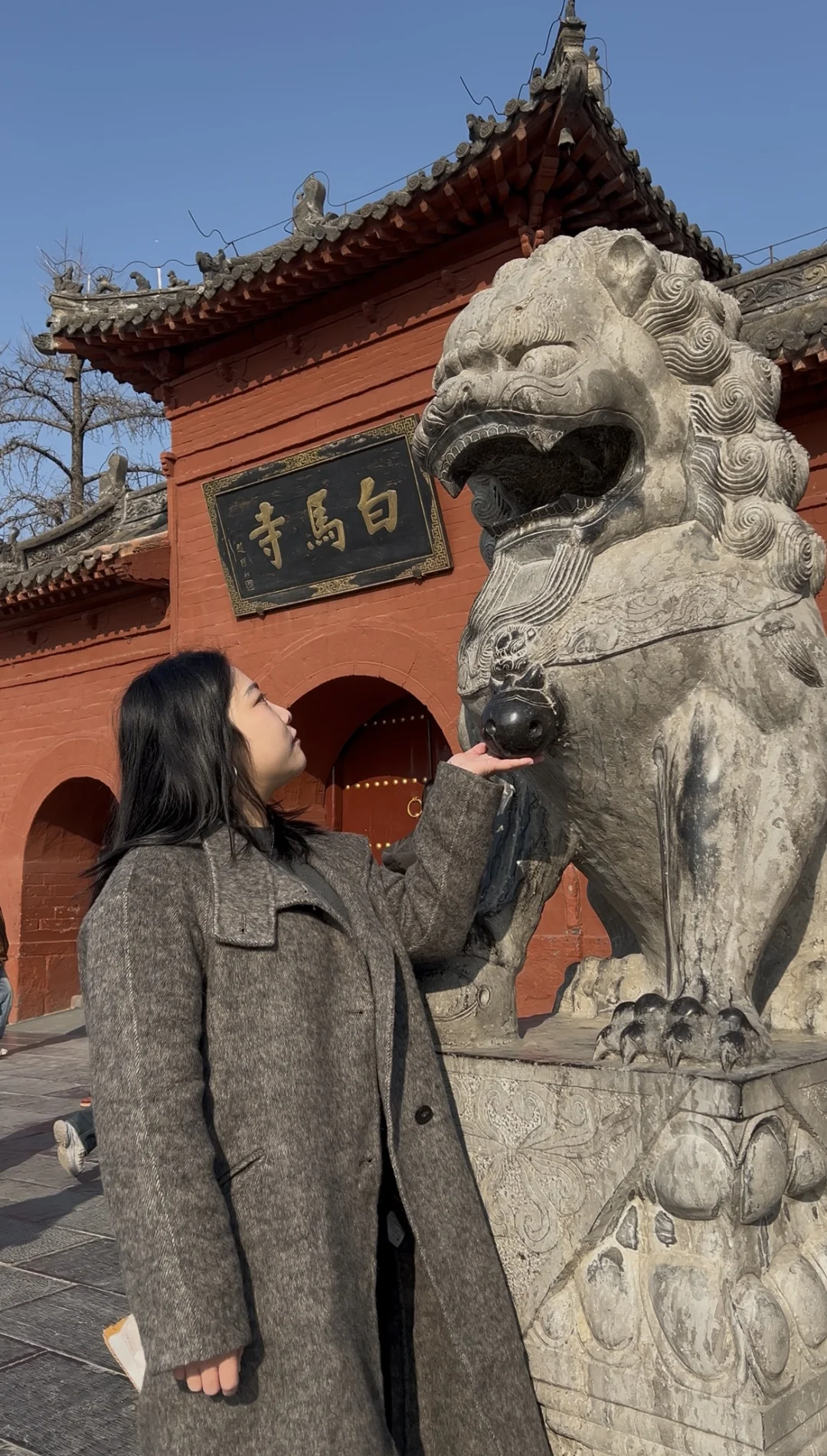郑州出发洛阳一日游｜白马寺+龙门石窟