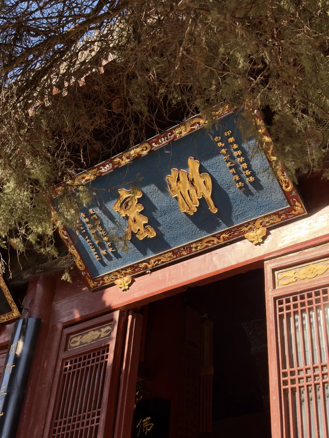 千年禅意落掌心｜遇见洛阳白马寺