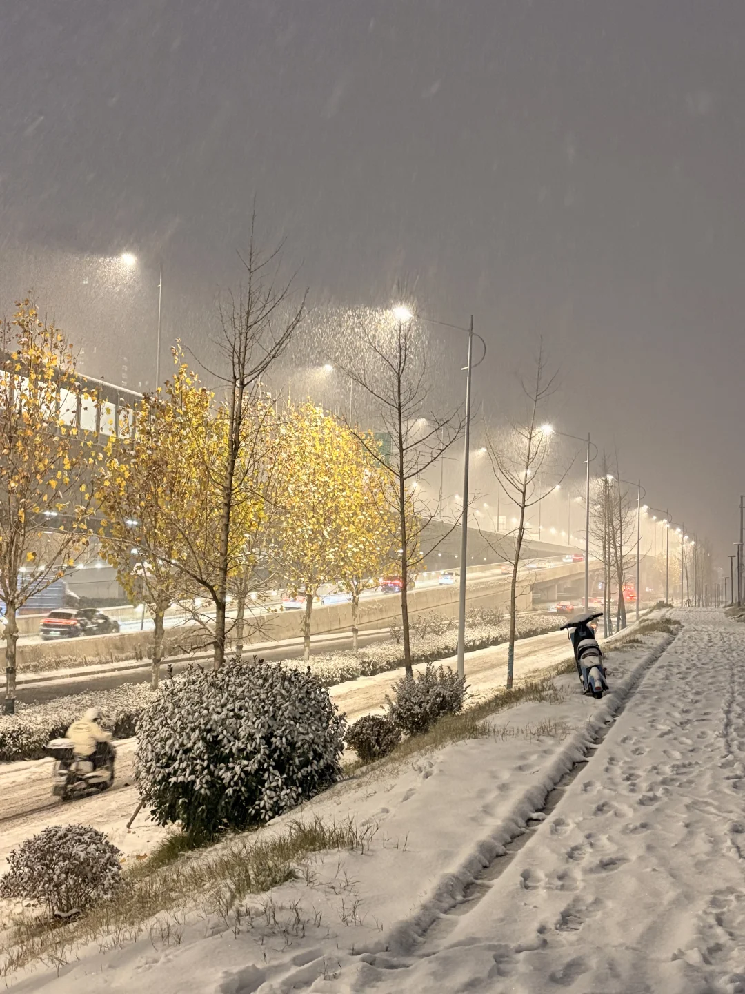郑州大雪如约而至🌨️🌨️