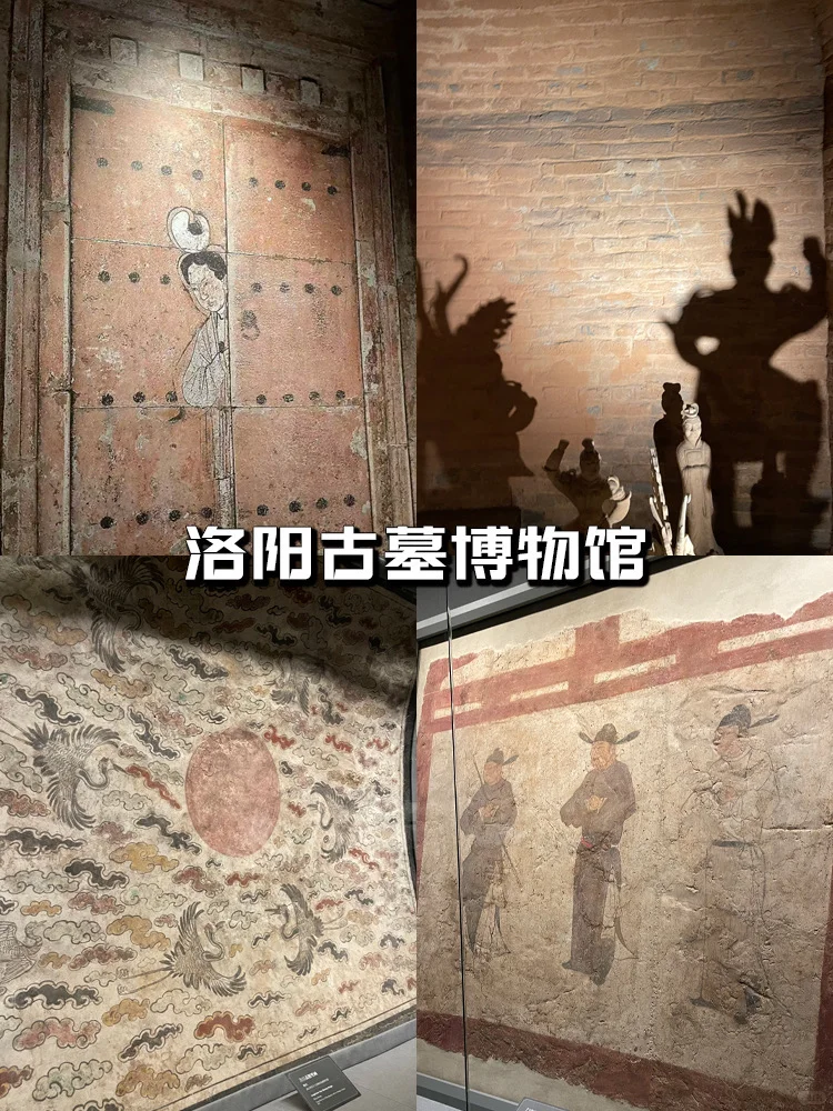 🏮洛阳亲子游攻略❗️四天三晚自驾避坑指南～