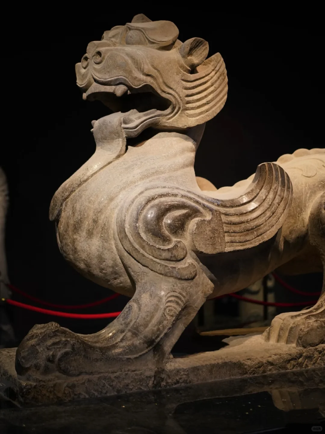 博物馆系列丨洛阳博物馆