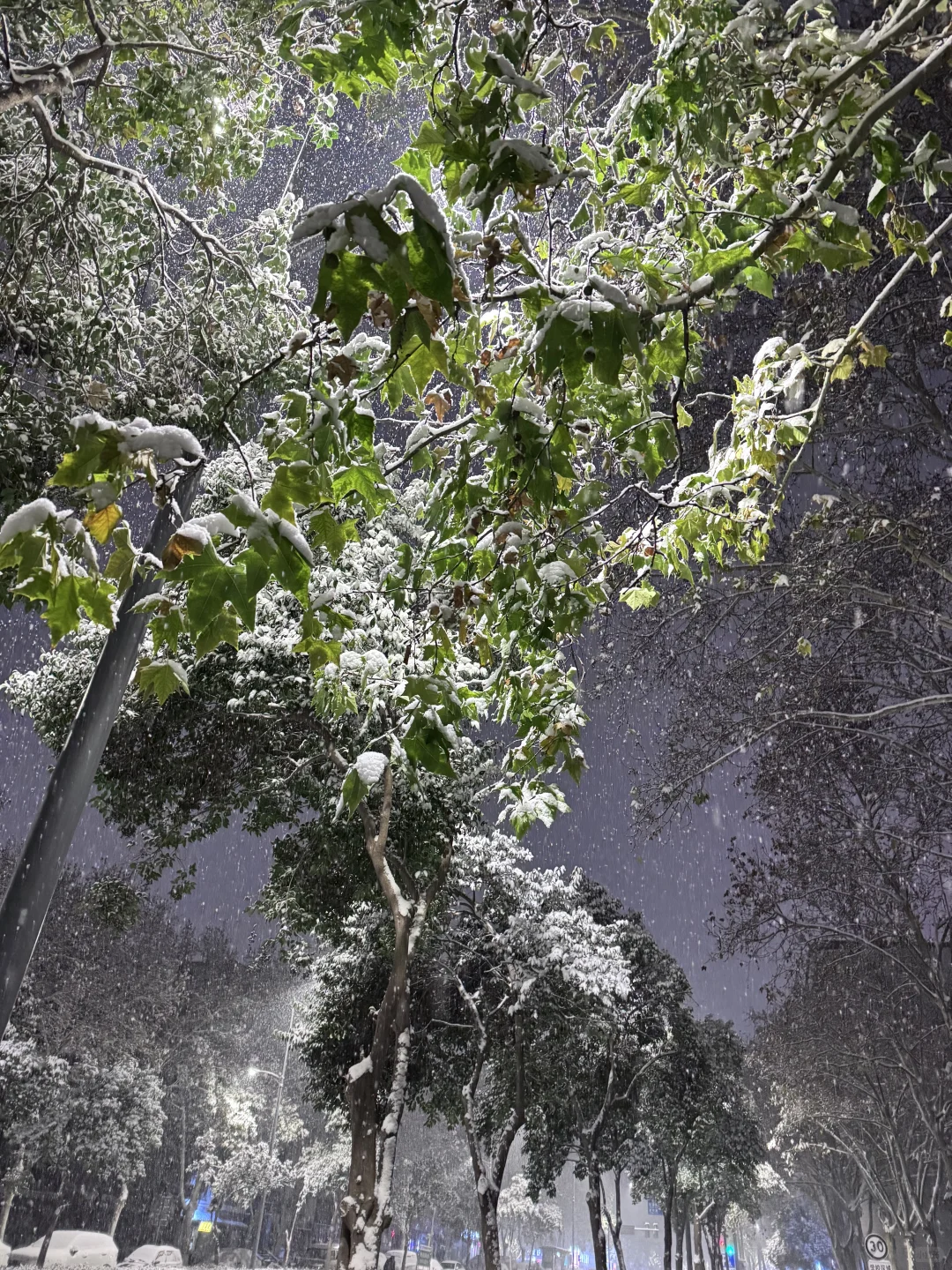12月12郑州大雪实况