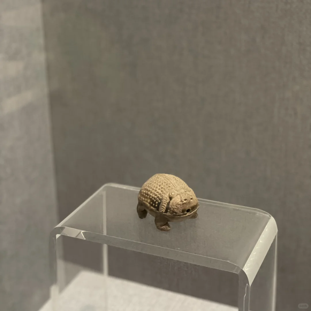 这里真的很值得一来 洛阳博物馆