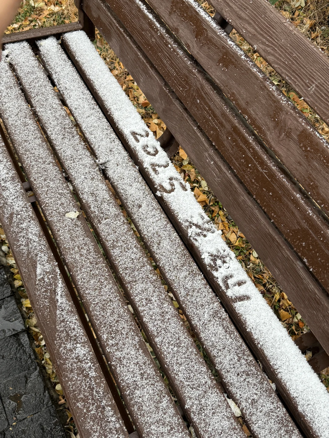 第一次独自旅行城市：洛阳