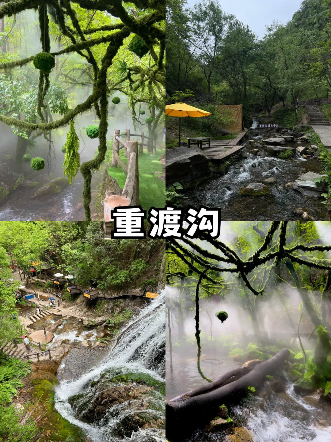 后劲十足❗国庆洛阳纯玩游太自由💯爽翻