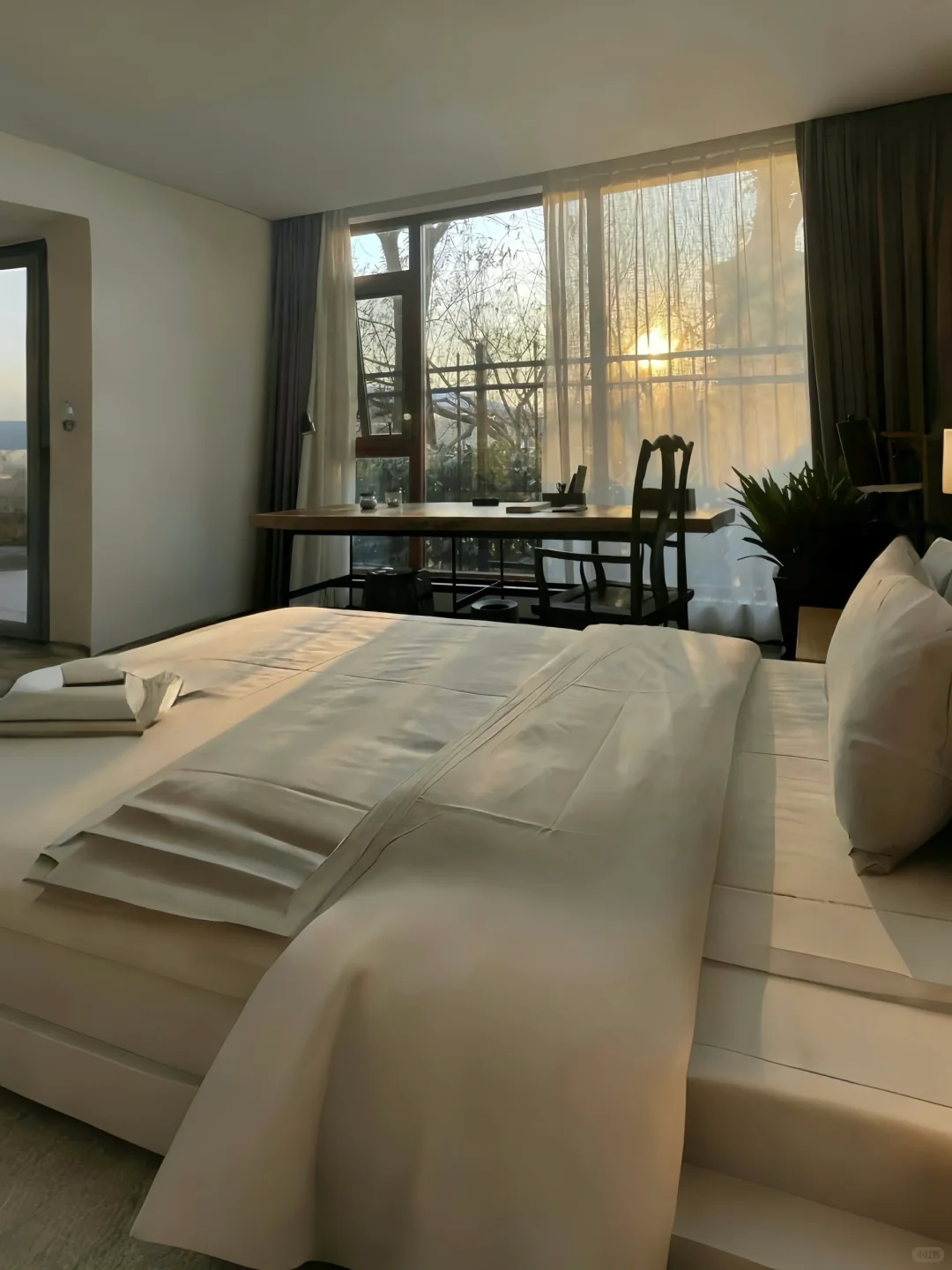 📍洛阳！！应天门！！不想退房😭值哭了