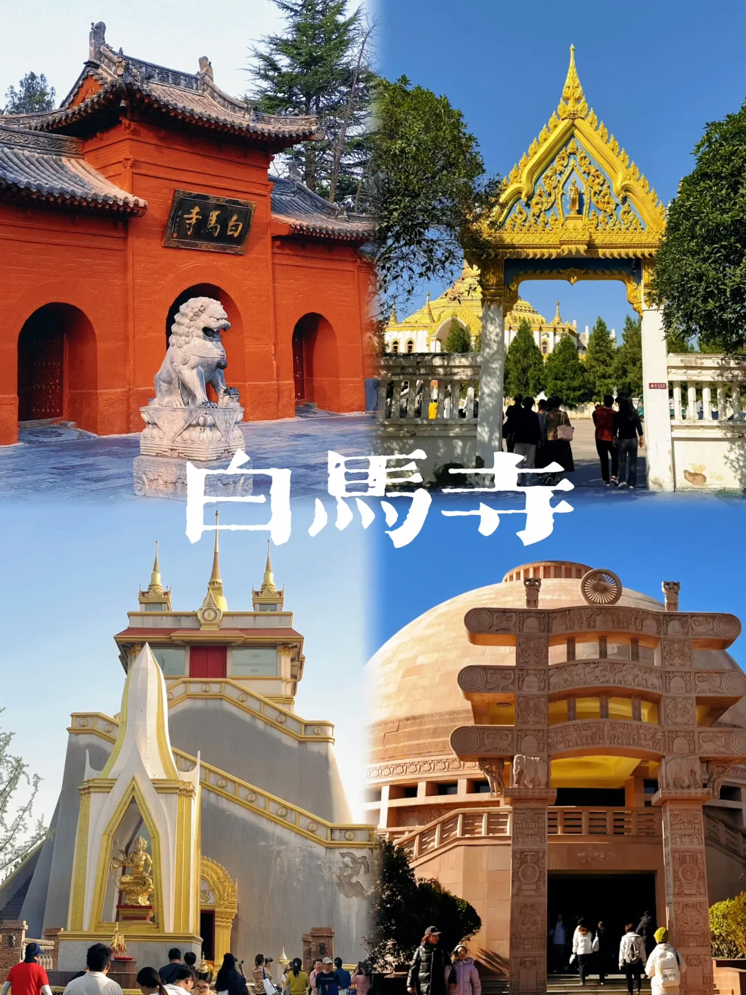 来洛阳看这一篇就够了✅超详细行程攻略👏🏻