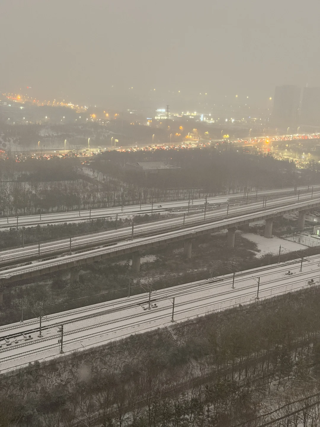 郑州的大雪❄️