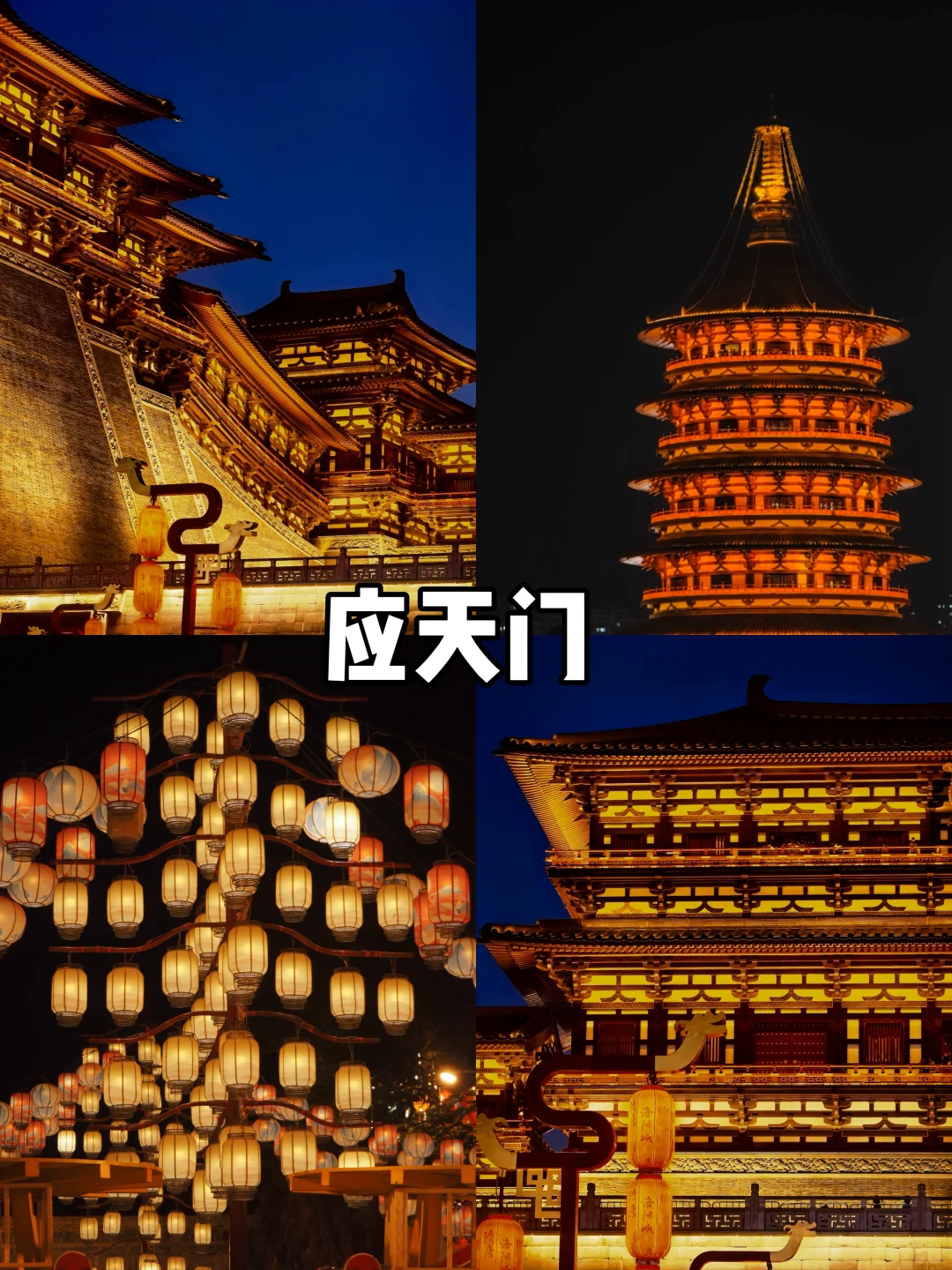 【河南篇-洛阳】洛阳很美，下次还来