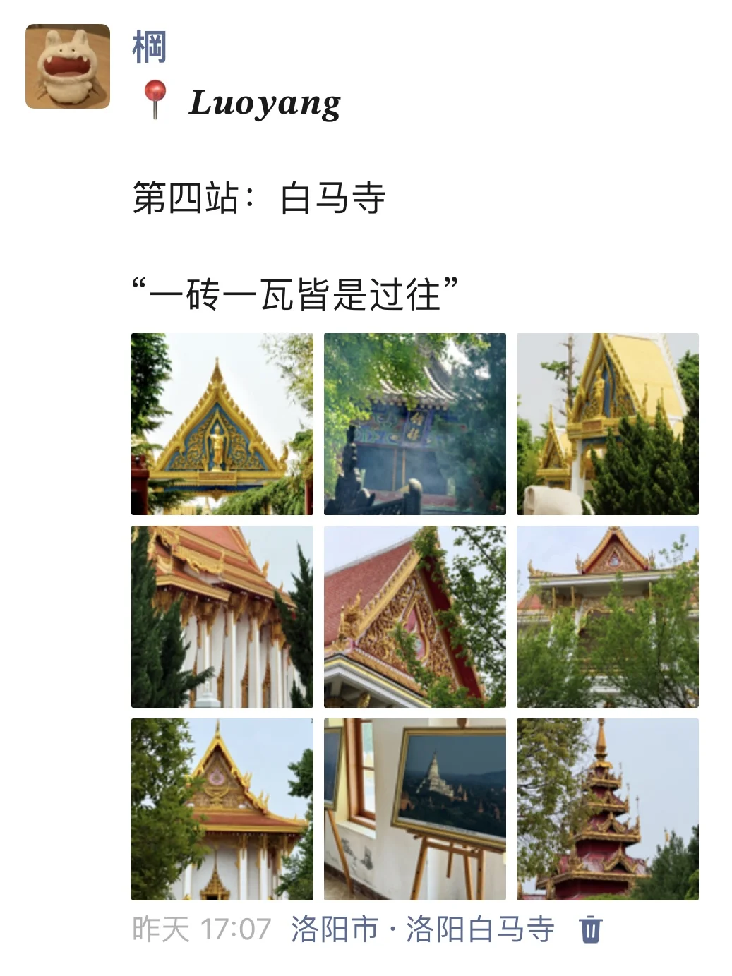 至于吗🤦‍♀这姐去洛阳发这么多条朋友圈