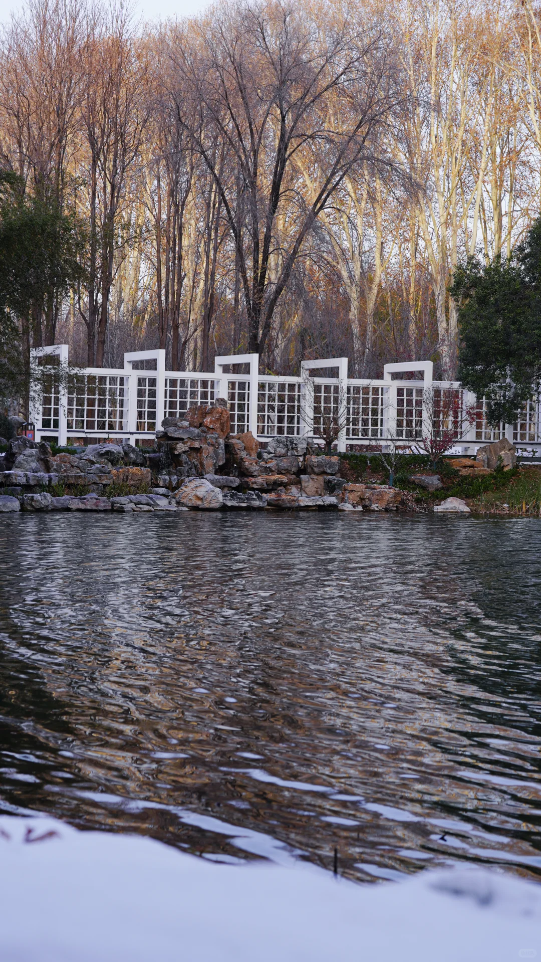 郑州的第一场雪 ｜雪停后的晴空明朗灿烂