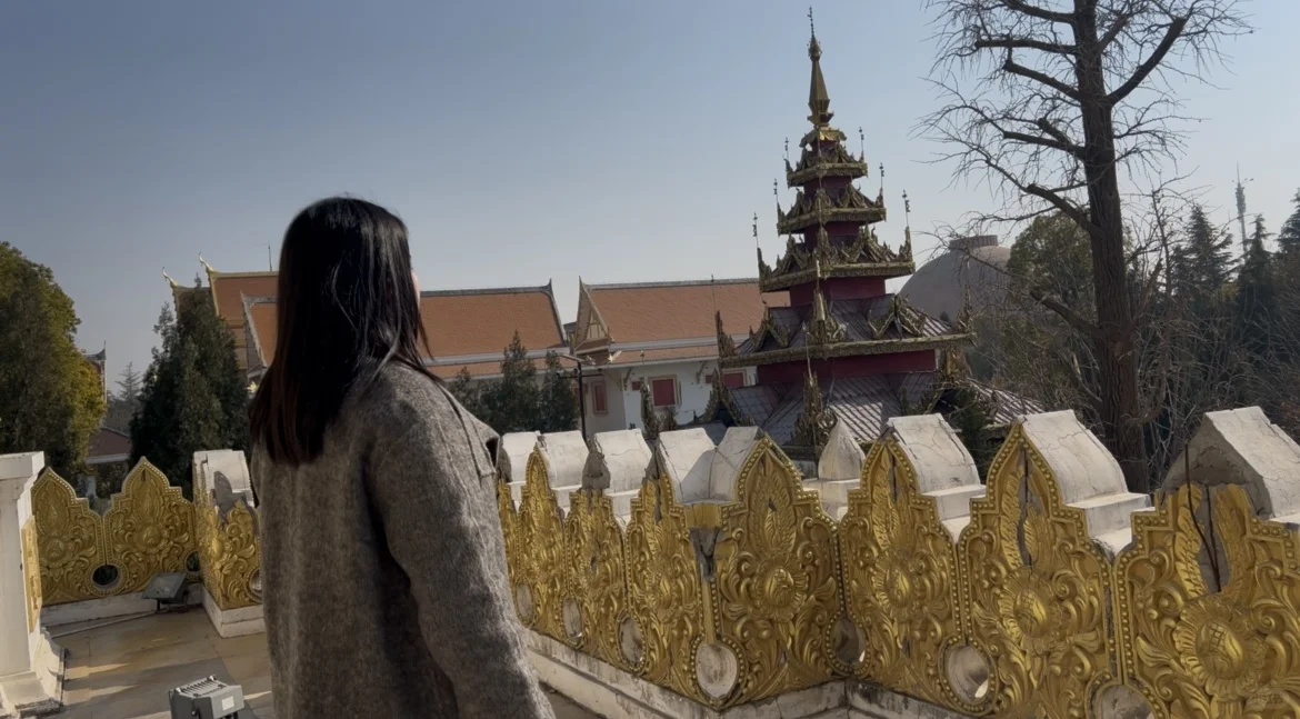 郑州出发洛阳一日游｜白马寺+龙门石窟