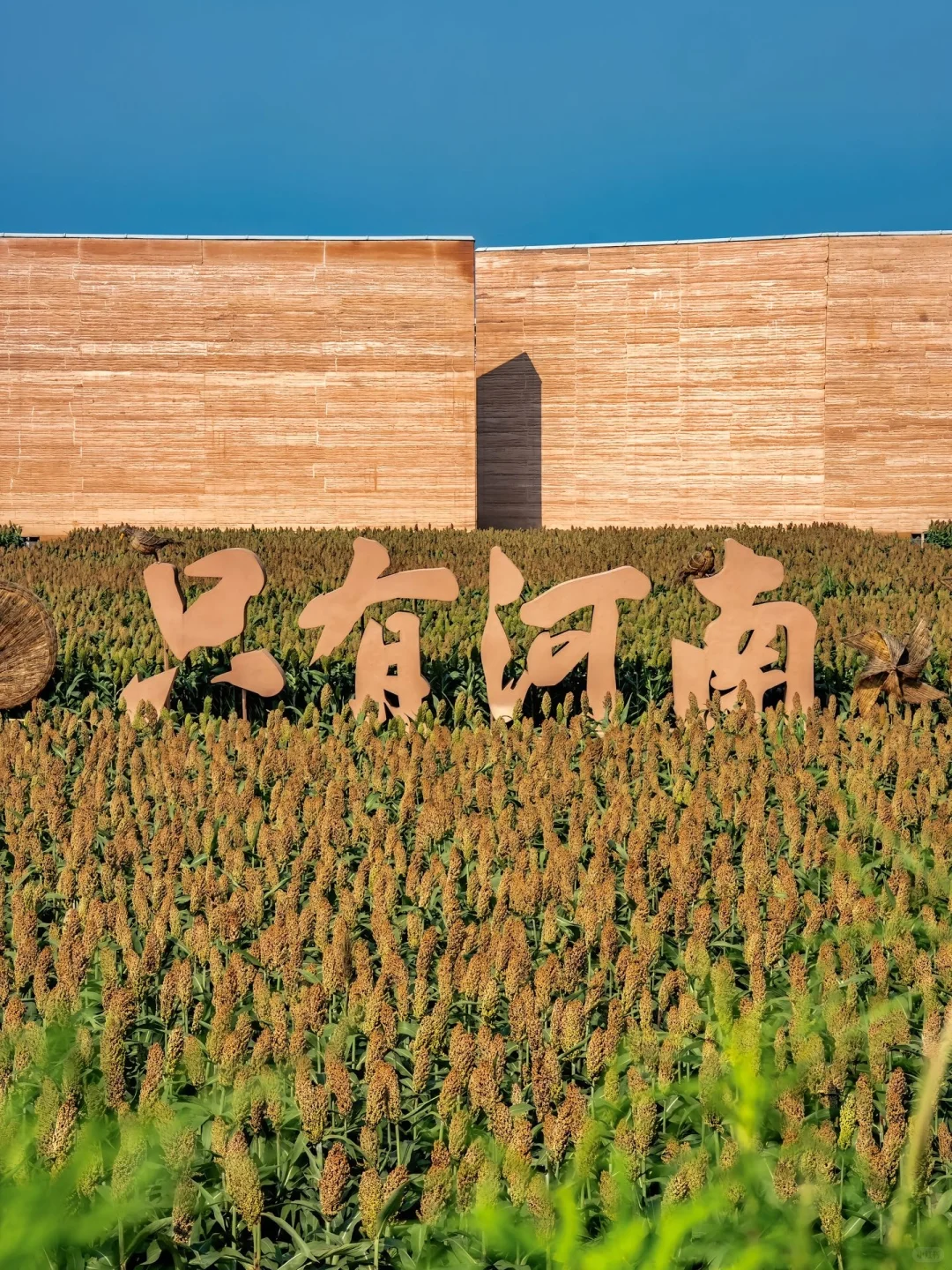 带娃二刷河南，娃说比迪士尼好玩，强推！！😆