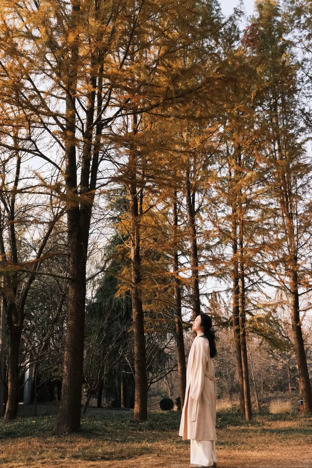 不是在大兴安岭，是在洛阳的小公园！