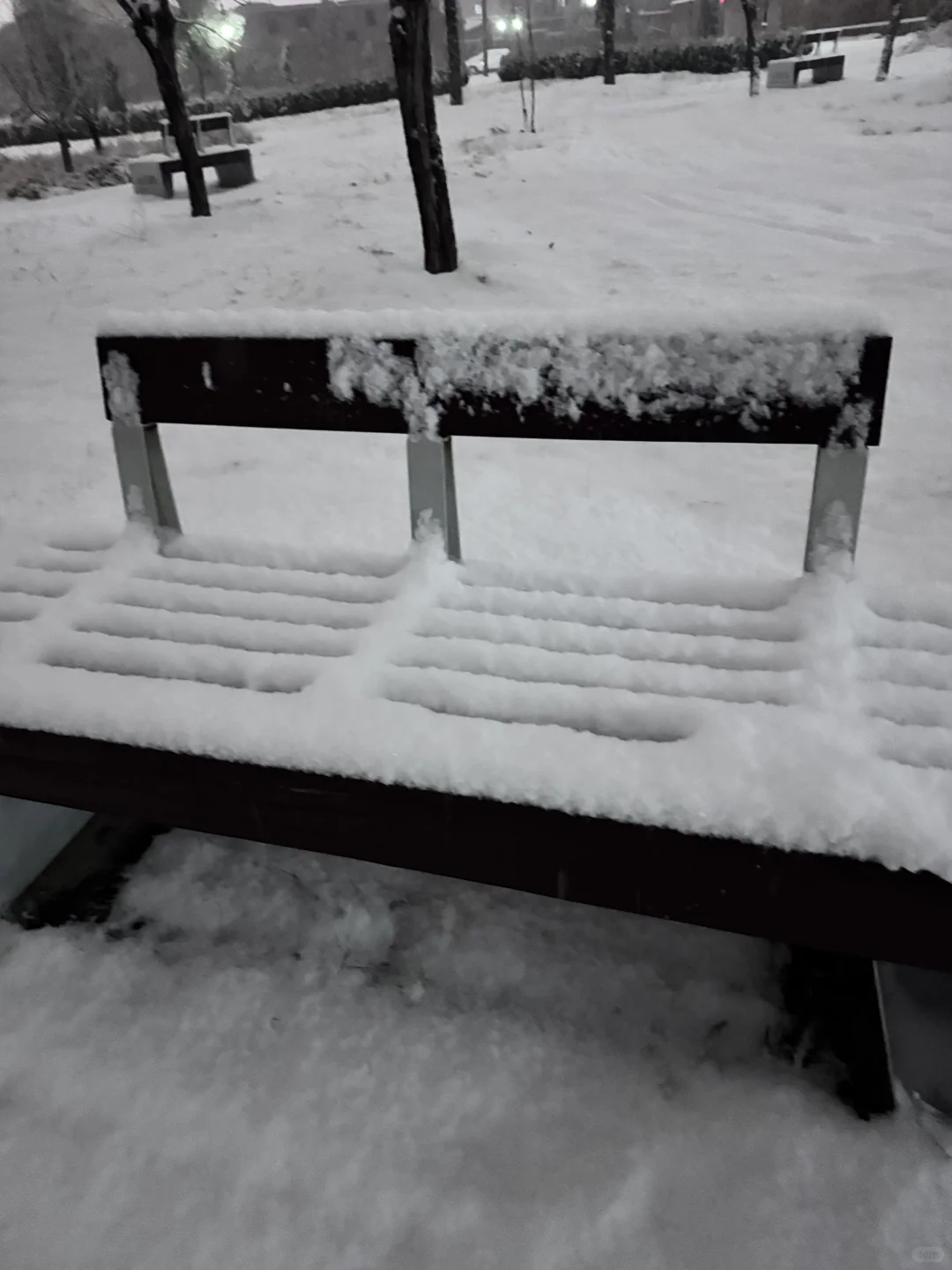 12月12郑州大雪实况