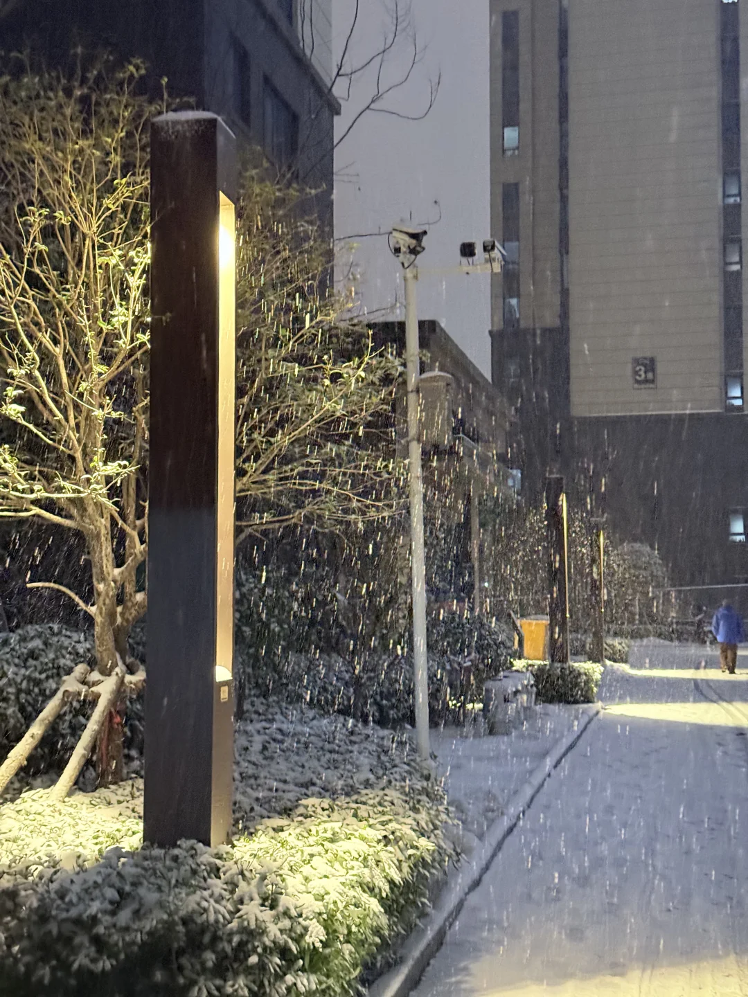 下大雪了 谁敢信这是郑州