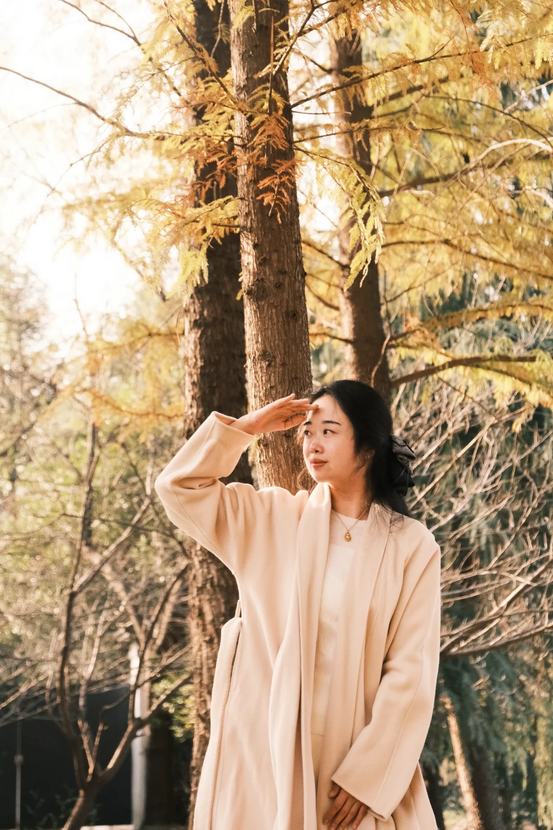 不是在大兴安岭，是在洛阳的小公园！