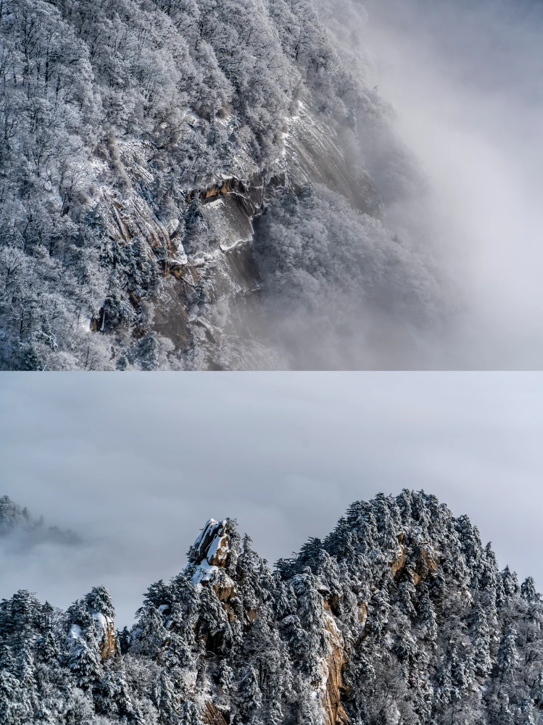 洛阳白云山大雪预警❗️中原雪乡来啦！