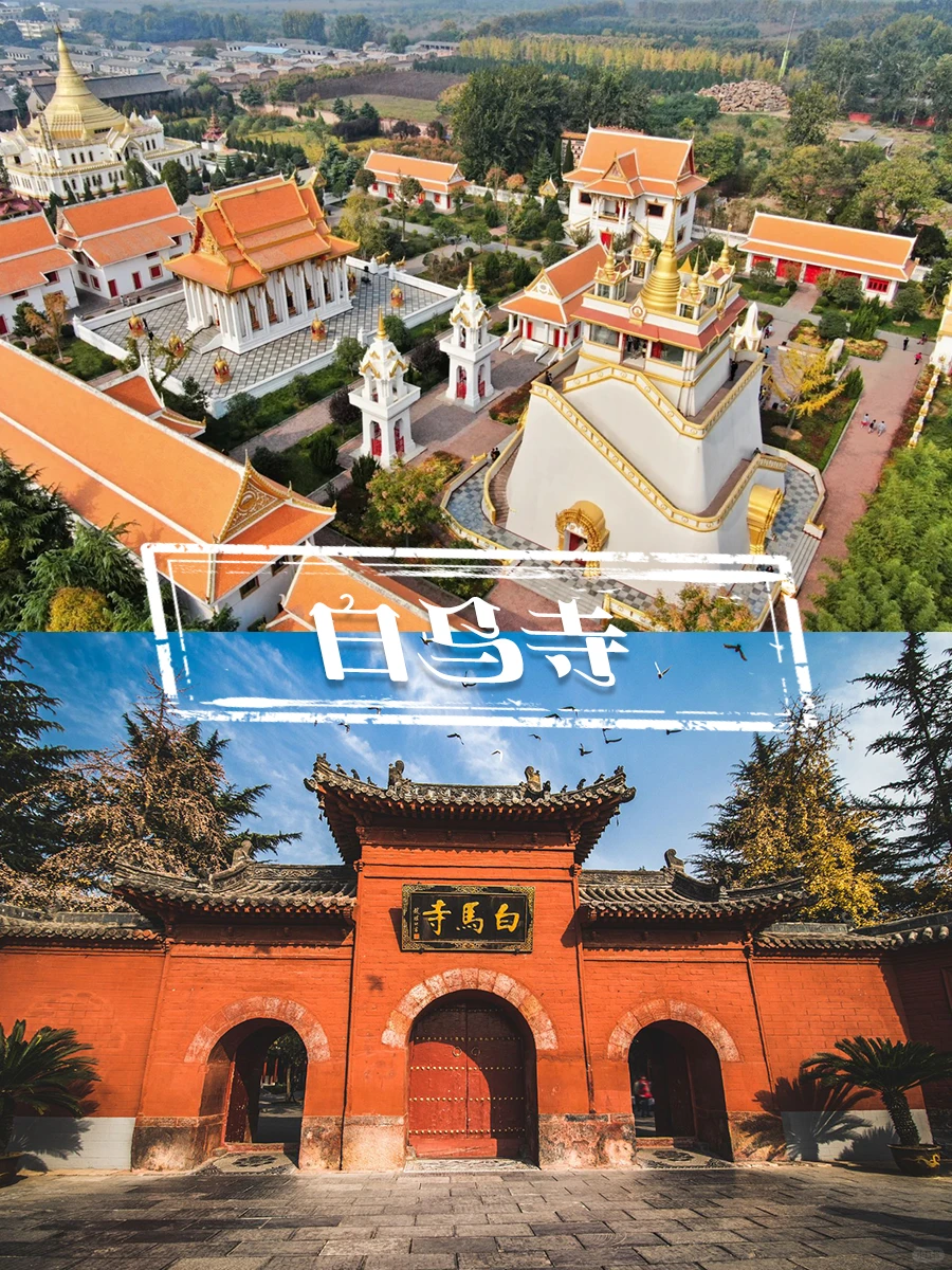 洛阳私人订制💯让您满意