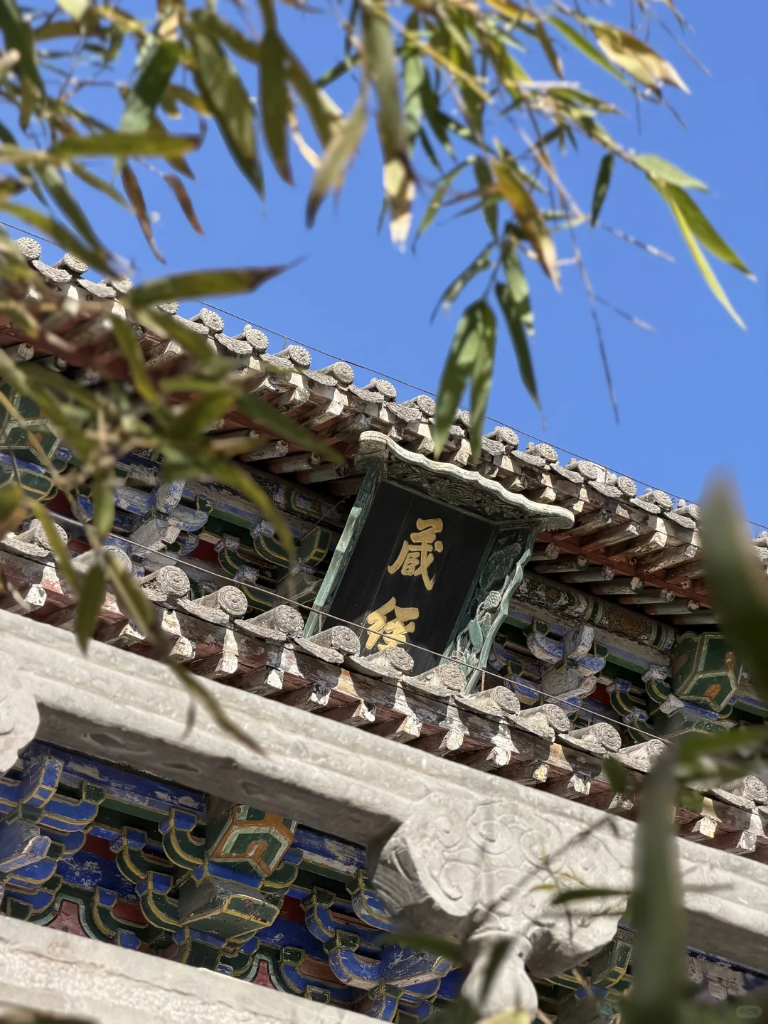 千年禅意落掌心｜遇见洛阳白马寺