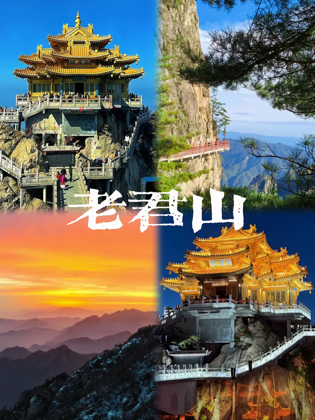 来洛阳看这一篇就够了✅超详细行程攻略👏🏻