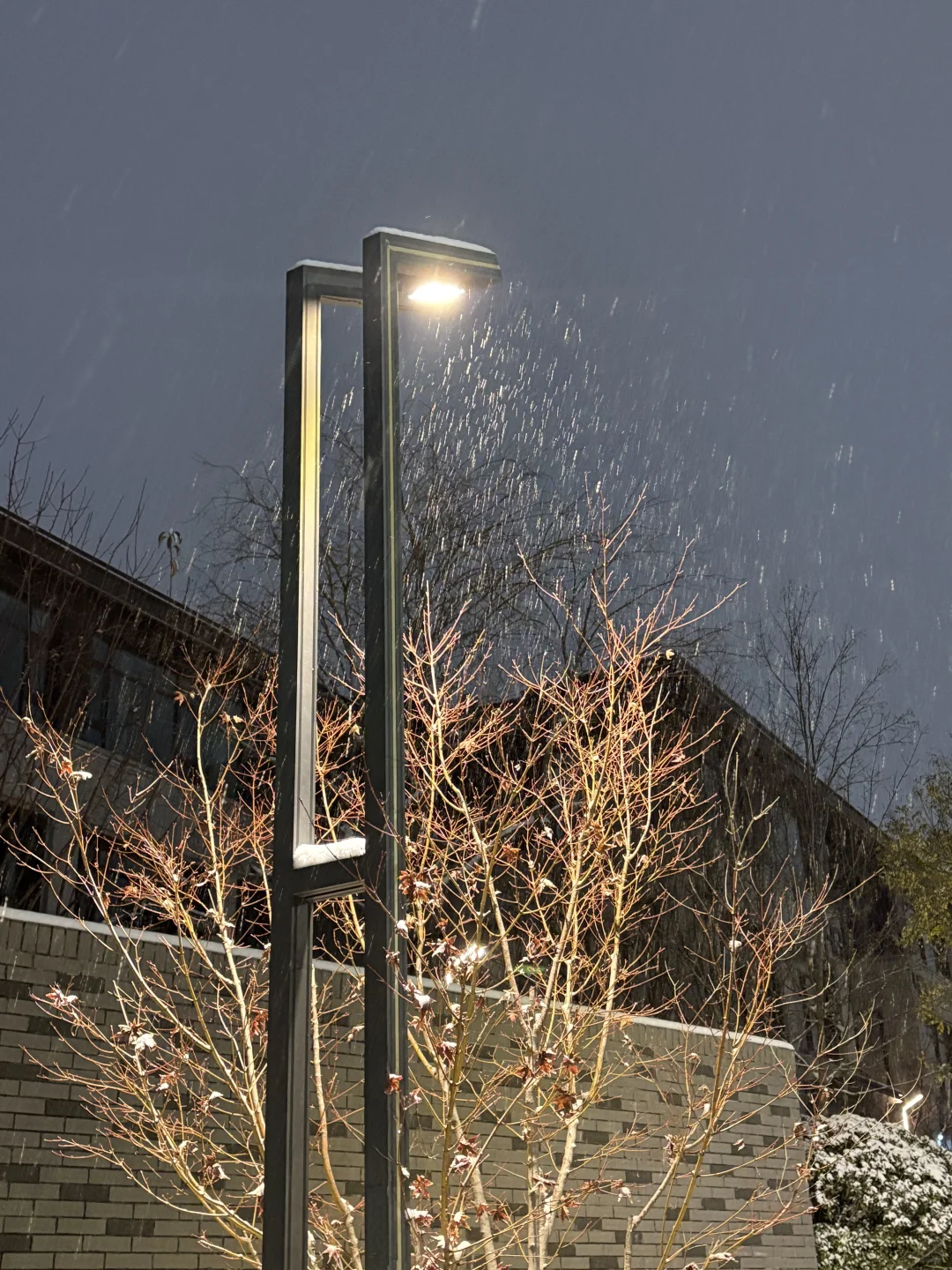 郑州大雪如约而至🌨️🌨️