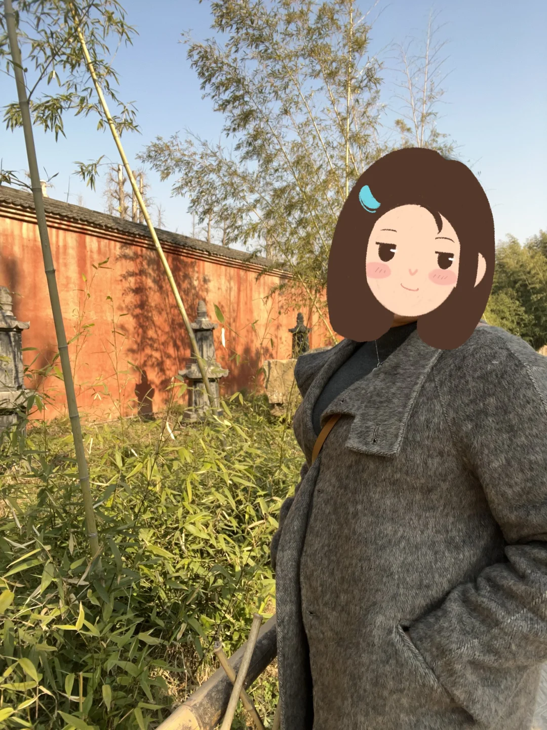 郑州出发洛阳一日游｜白马寺+龙门石窟