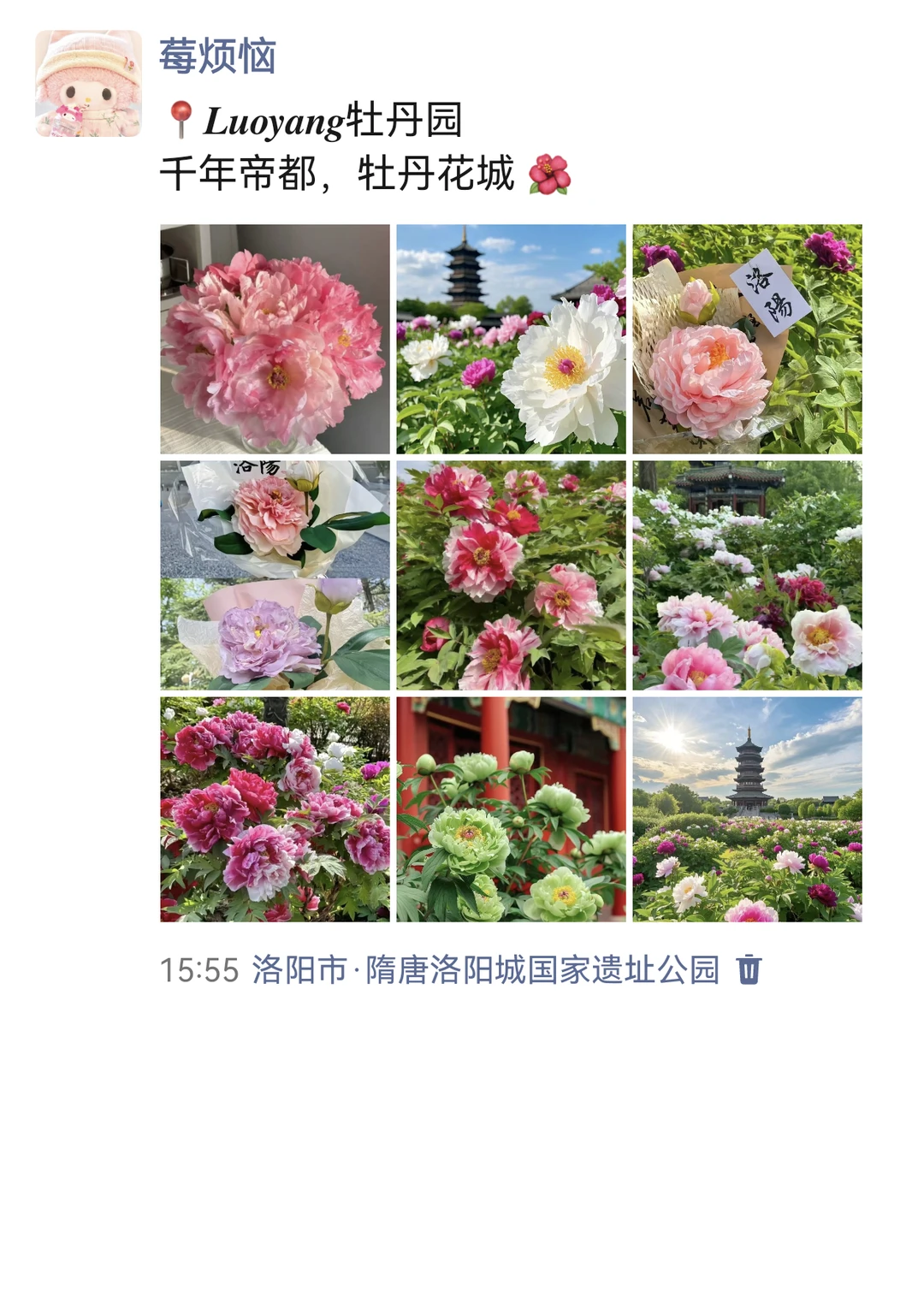 至于吗😓这姐去洛阳整整发了10条朋友圈啊