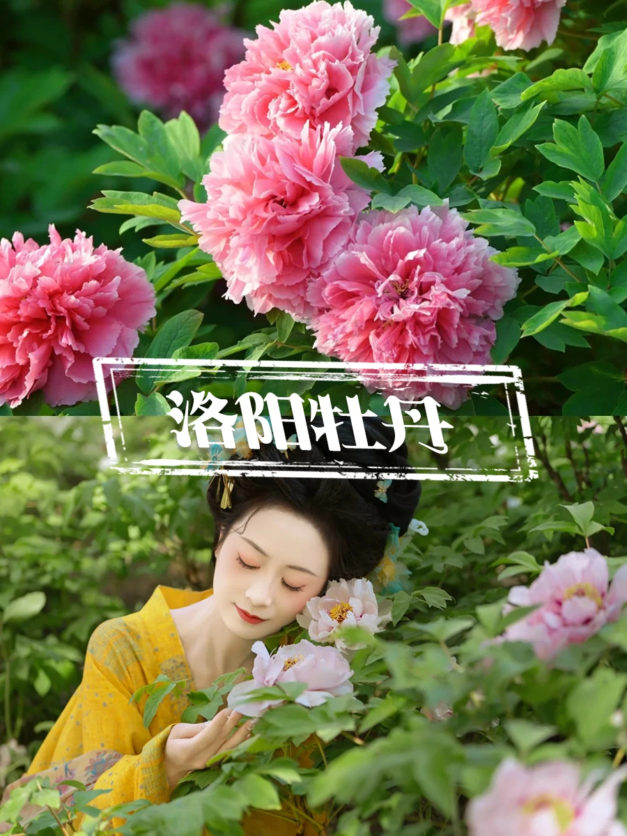 洛阳私人订制💯让您满意