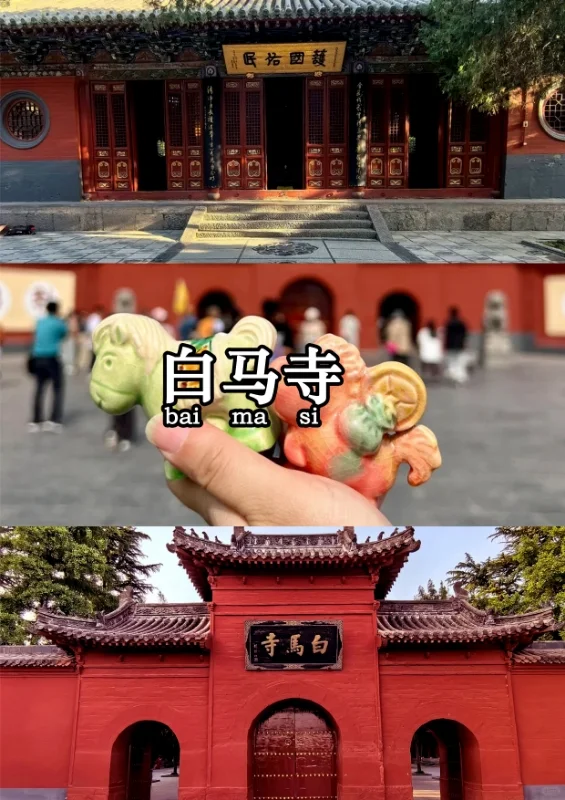 ✨洛阳定制游「神都穿越指南」🏮