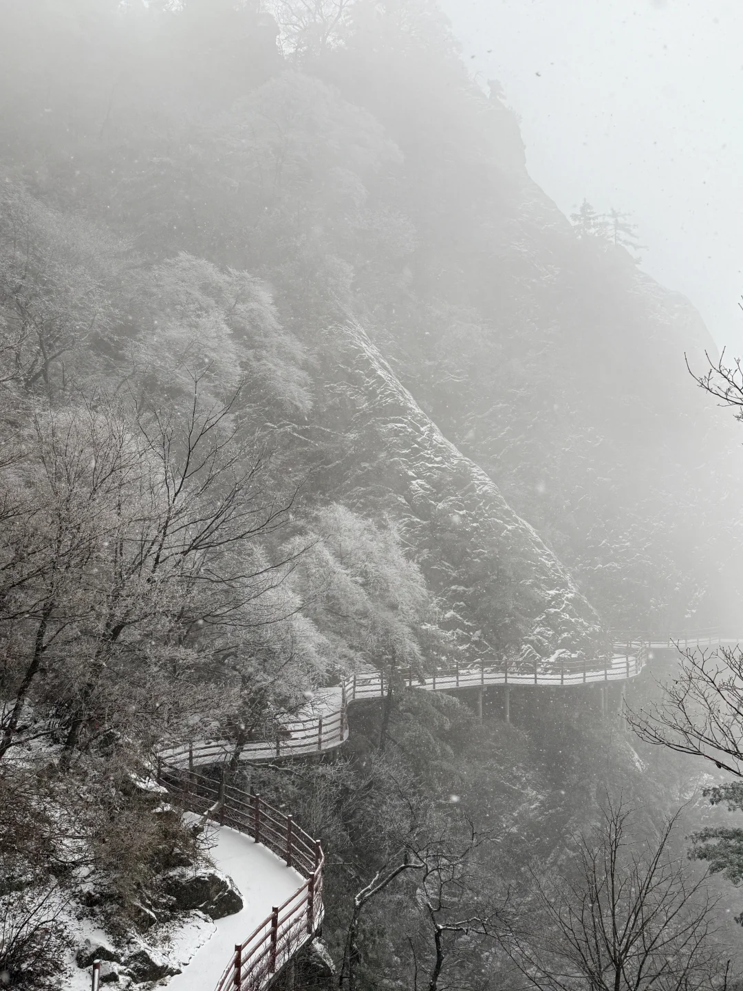 第一次独自旅行城市：洛阳