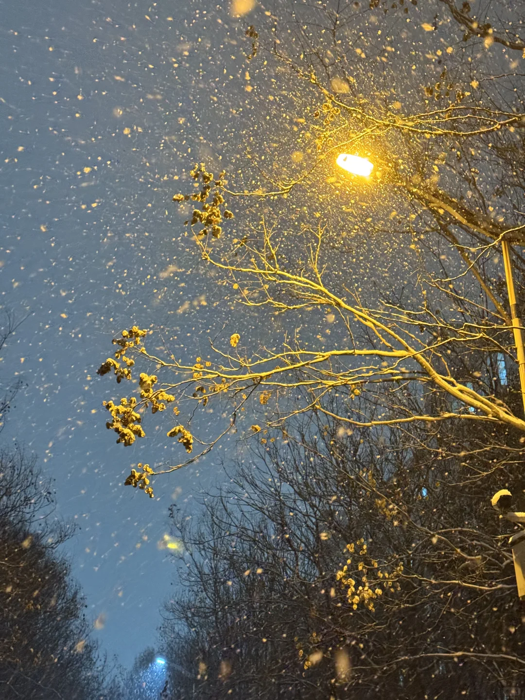 郑州今年初雪！