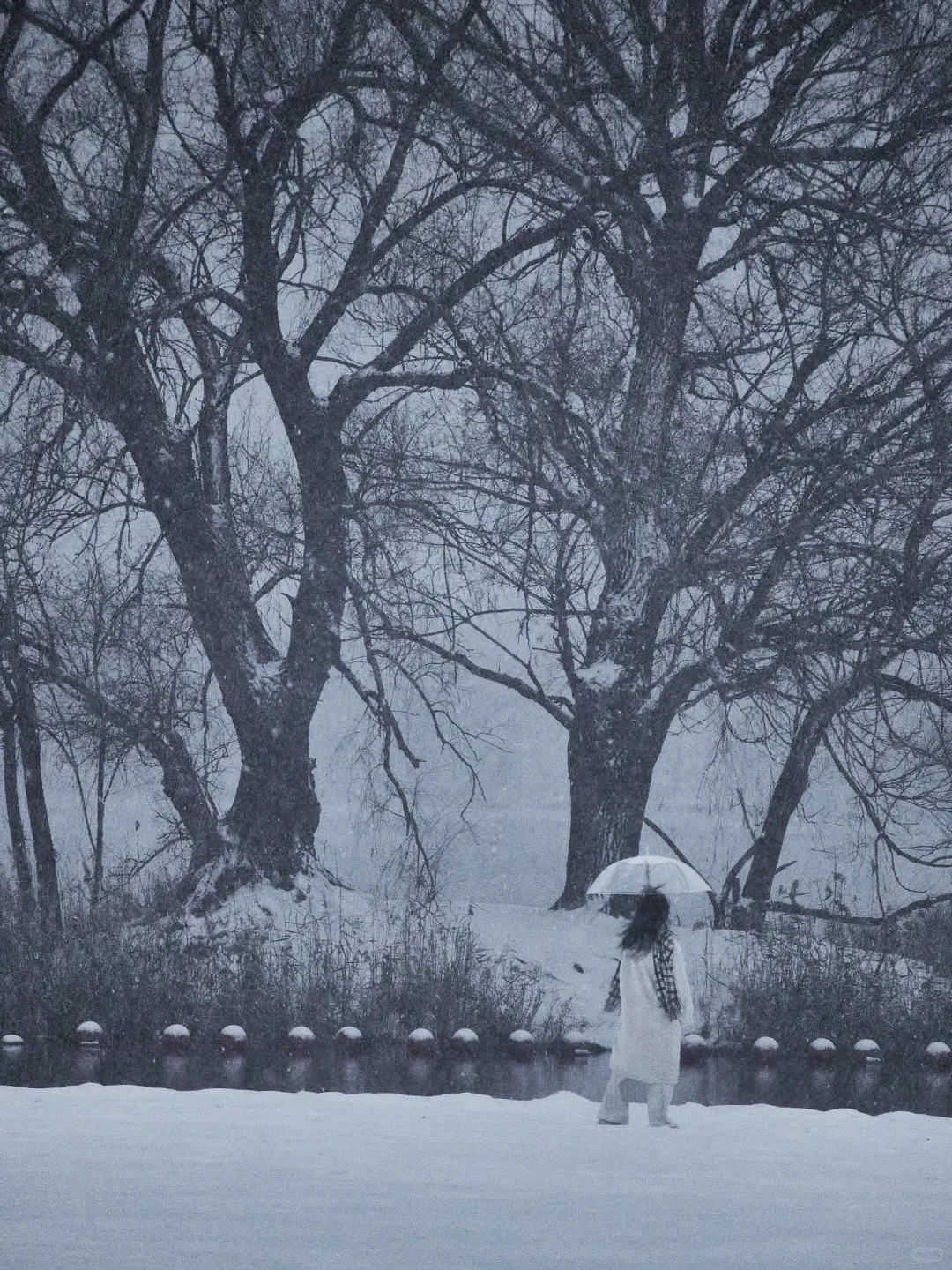 终于拍到郑州的雪景了，好美啊！！