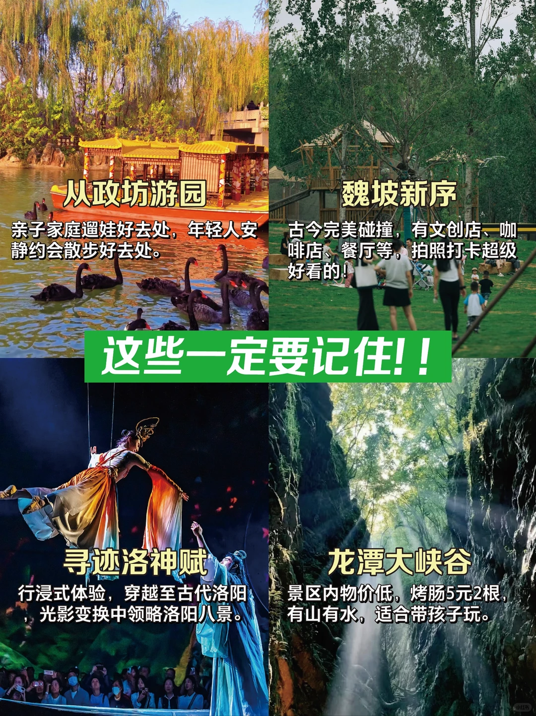 洛阳已回，再也不用听小红书乱说了❗❗