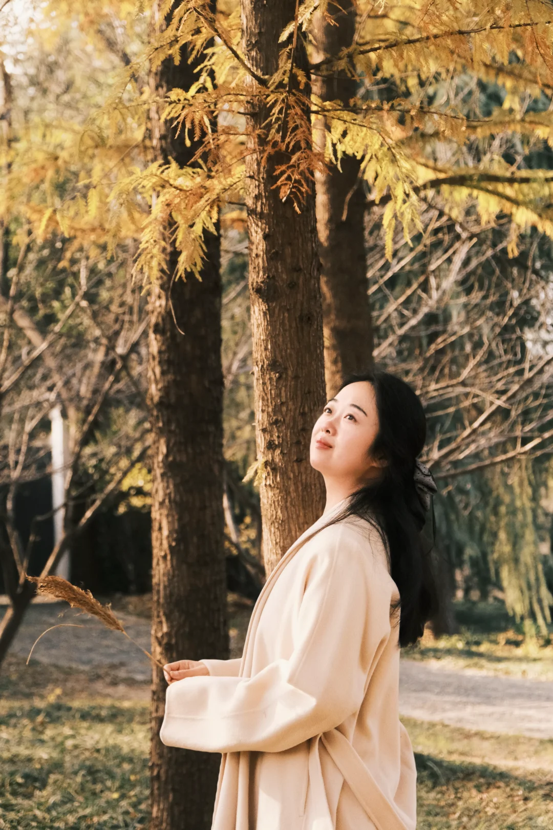 不是在大兴安岭，是在洛阳的小公园！