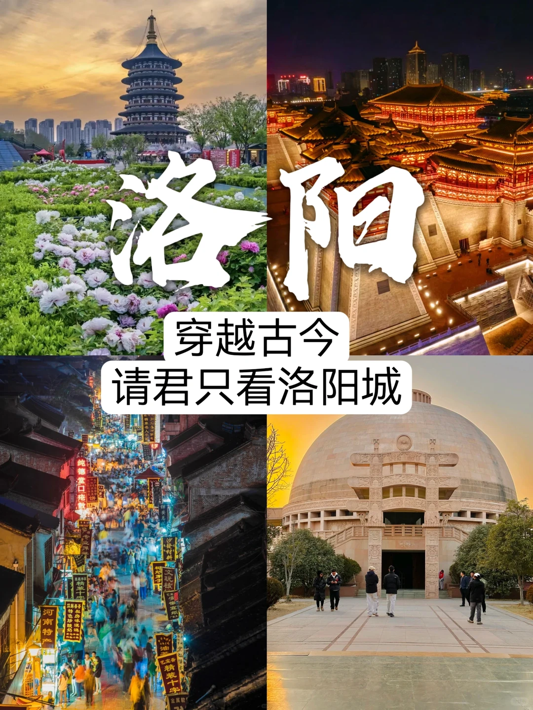 我宣布！看完这篇攻略教你一网打尽洛阳繁华