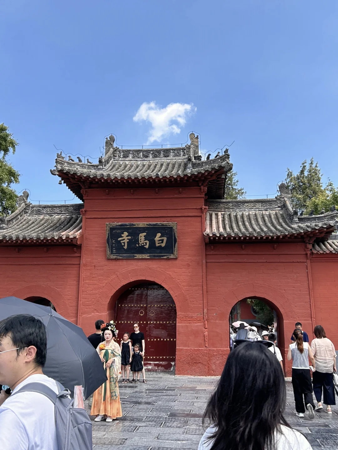 洛阳白马寺｜本地人私藏的治愈系玩法🌿