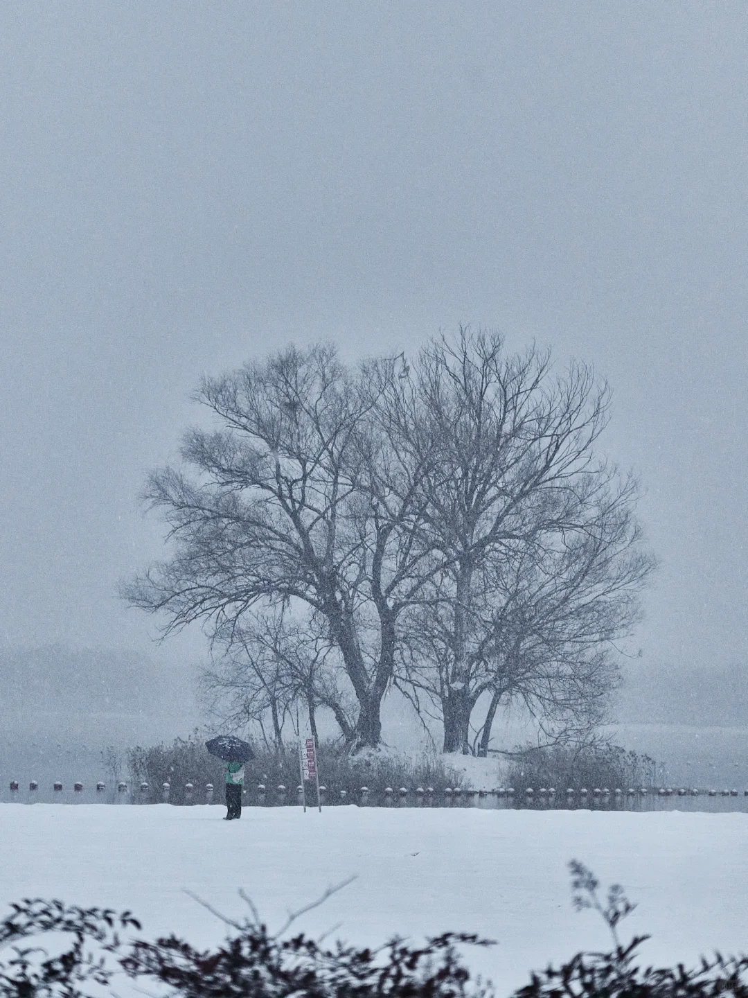 终于拍到郑州的雪景了，好美啊！！