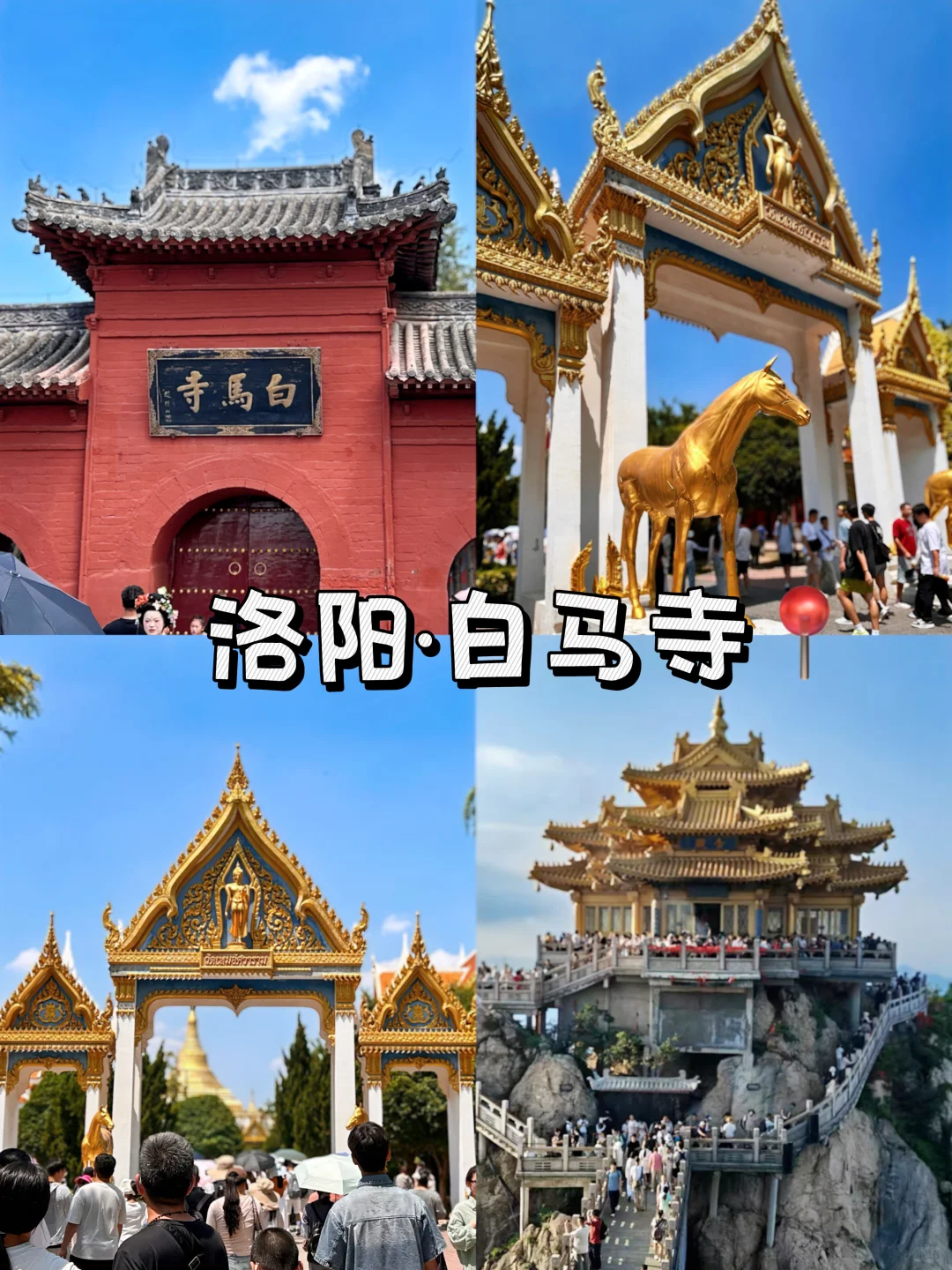 洛阳白马寺｜本地人私藏的治愈系玩法🌿