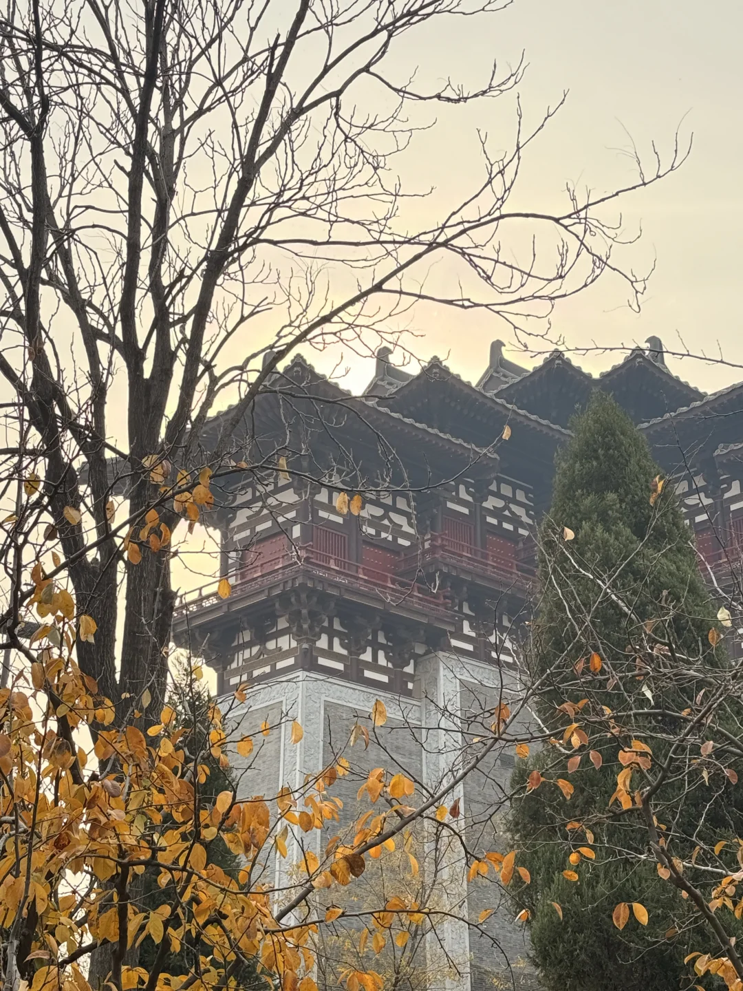 第一次独自旅行城市：洛阳