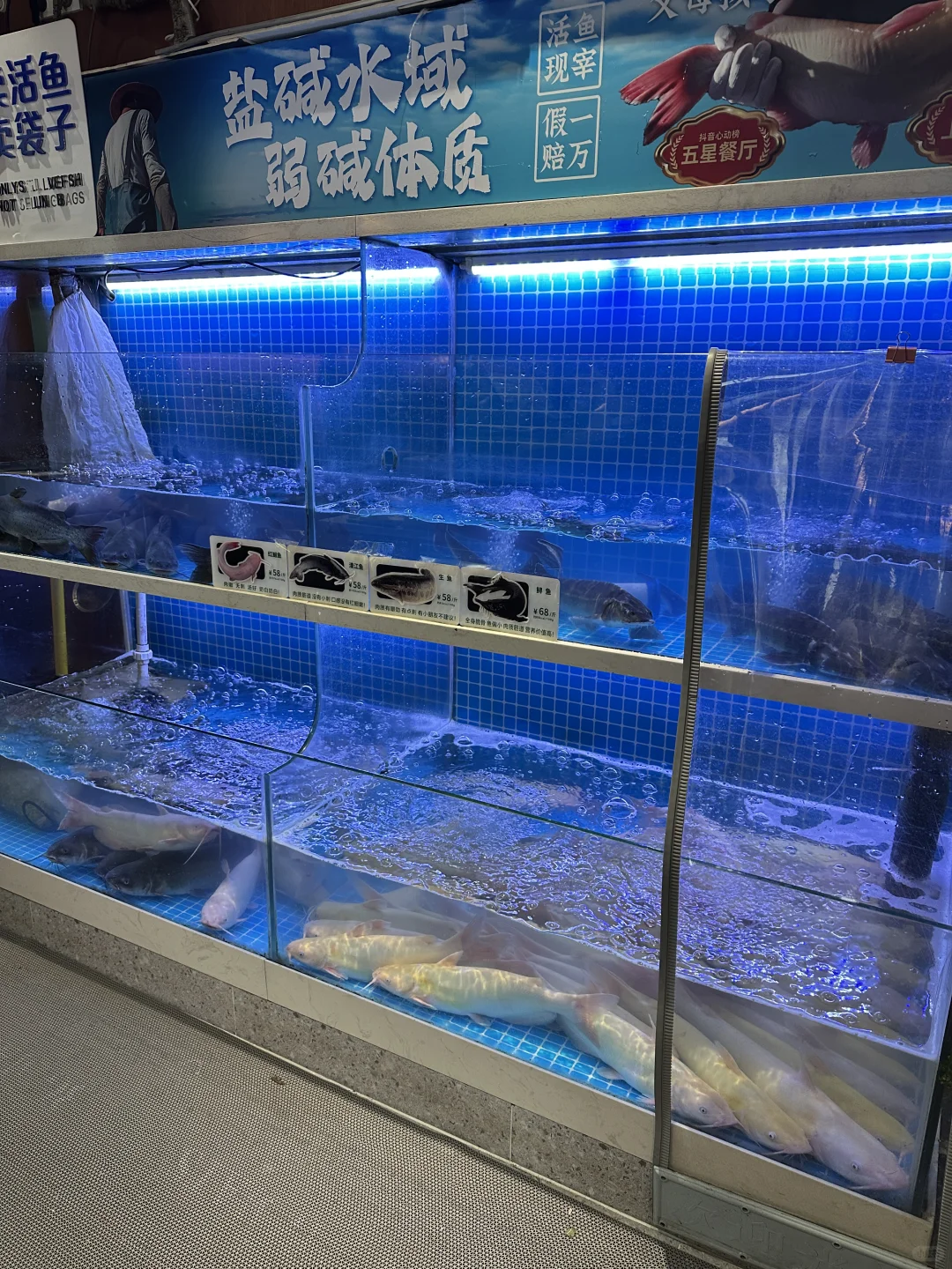 郑州！这家鱼汤我能连喝三天😭。。。