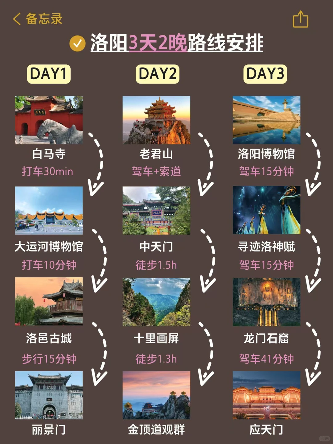 😭洛阳会惩罚每一个不提前预约的人。。。