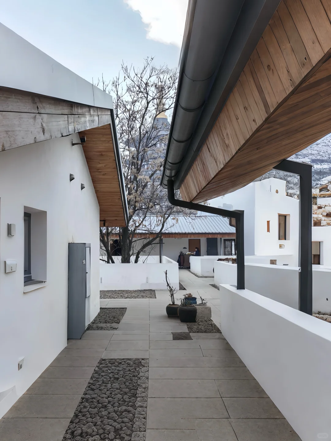 📍洛阳！！应天门！！不想退房😭值哭了