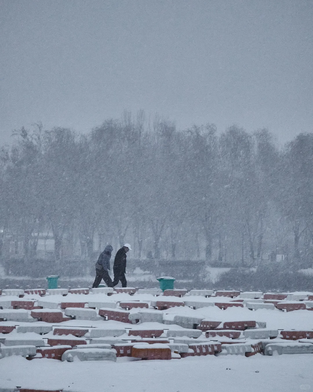 终于拍到郑州的雪景了，好美啊！！