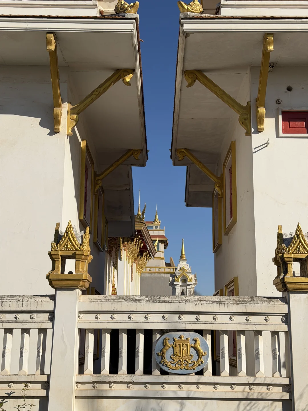 千年禅意落掌心｜遇见洛阳白马寺